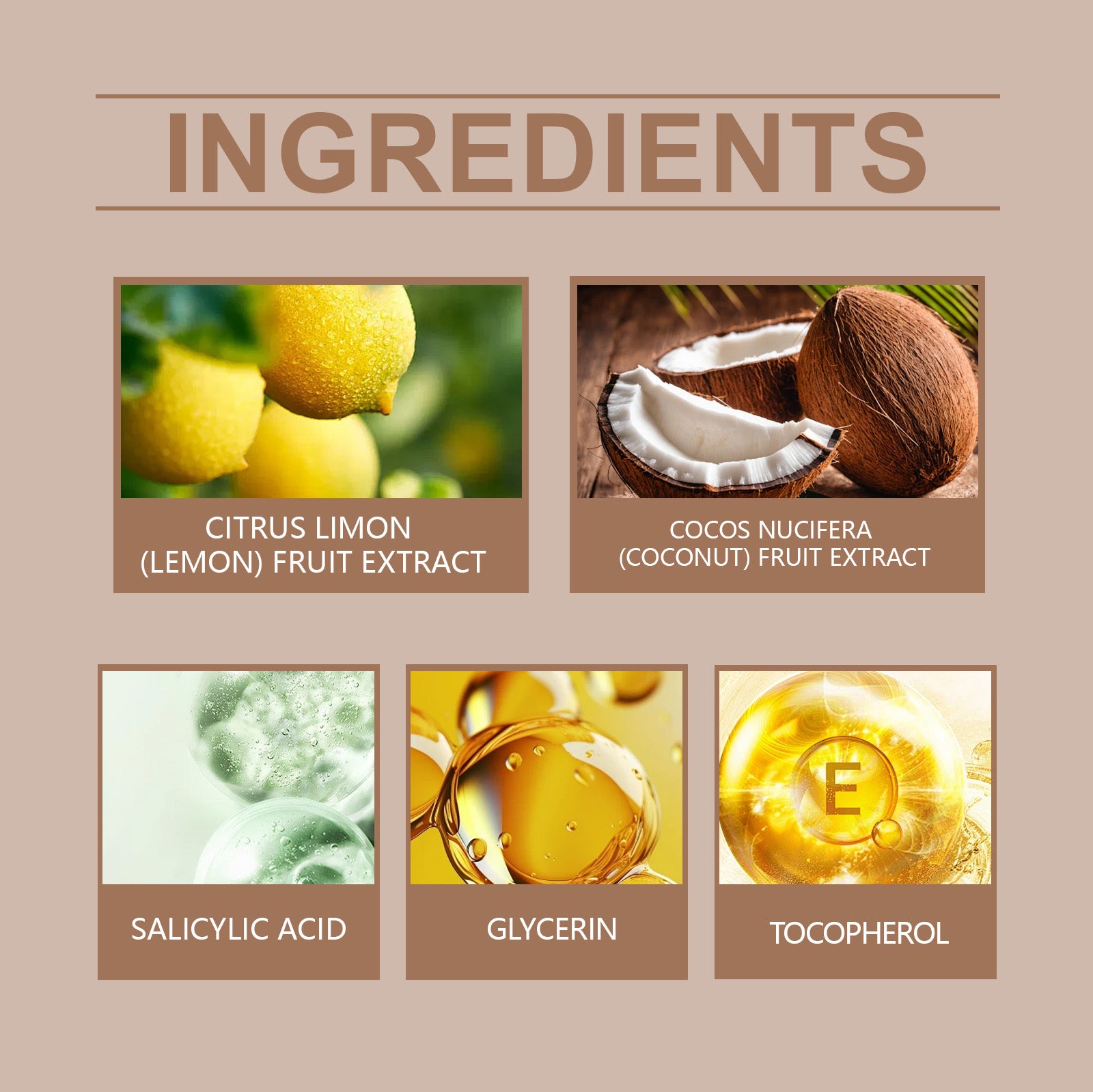 Coconut Foam Gentle Pore Cleanser by eprolo